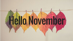 NOVEMBER 2023 NOVEMBER 2023