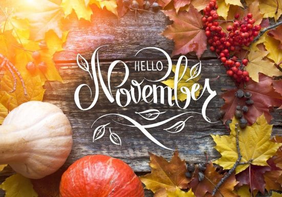 NOVEMBER 2024