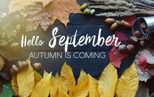 SEPTEMBER 2024 SEPTEMBER 2024
