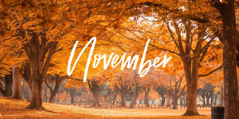 NOVEMBER 2021 NOVEMBER 2021