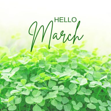 MARCH 2023 MARCH 2023