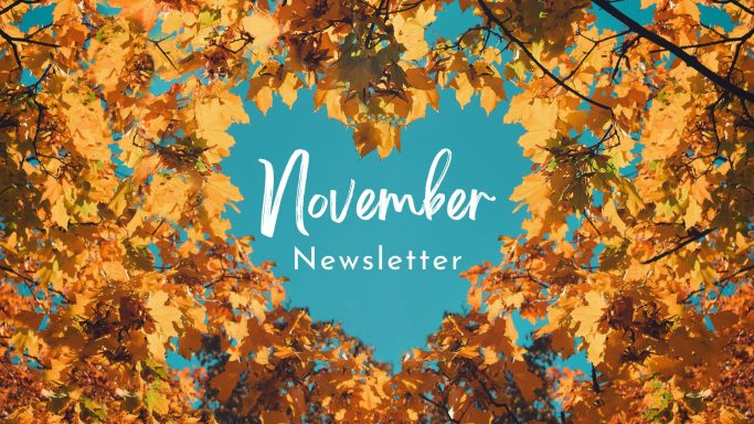 NOVEMBER 2020 NOVEMBER 2020